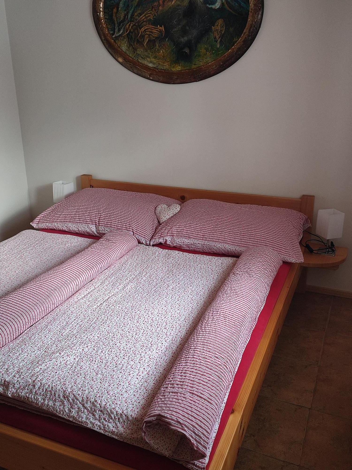 Apartmany Pod Vysakem Stárkov Kamer foto